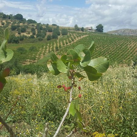 קלטפימי Agriturismo Gessi מראה חיצוני תמונה