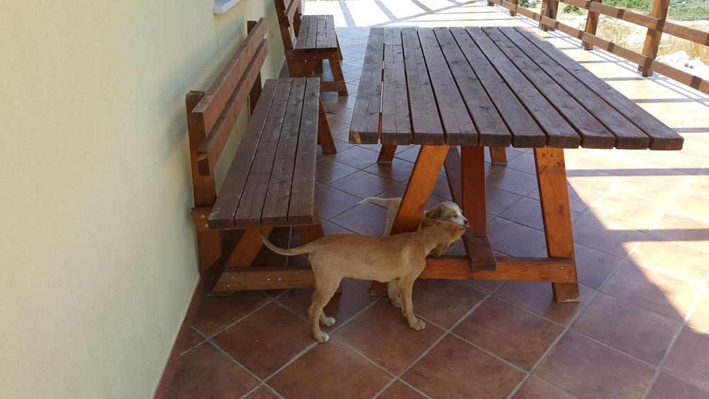 קלטפימי Agriturismo Gessi מראה חיצוני תמונה