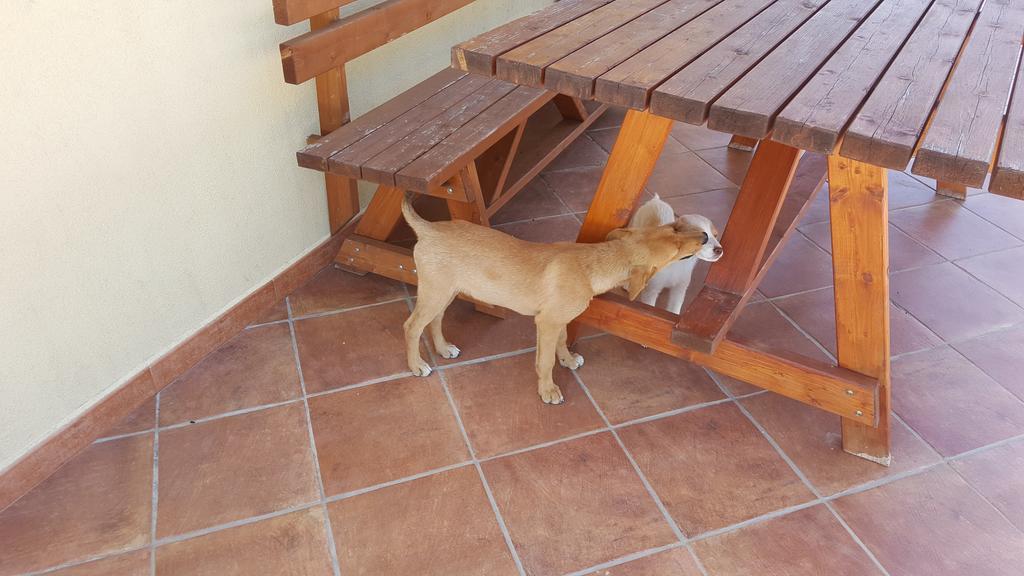 קלטפימי Agriturismo Gessi מראה חיצוני תמונה